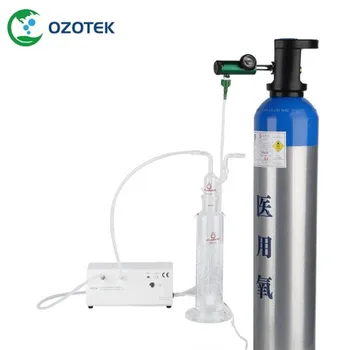 Medicinske Ozon Generator za Ozon Terapija s Destructor & Kisika, Regulator za Izbiro 100-240V Univerzalna Napetost