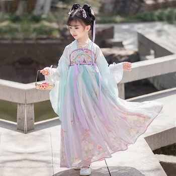 Karneval Flower Fairy Cosplay Kostum Ples Hanfu Tradicionalno Kitajsko Obleko Klasične Vezenje Starih Kostumov Fazi Ples