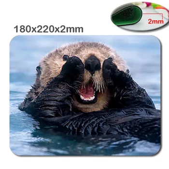 California Morske Vidre Osebno Slog po Meri, Podolgovate Gaming Mousepad Standardne Velikosti 220mm*180mm*2 mm Mouse Pad