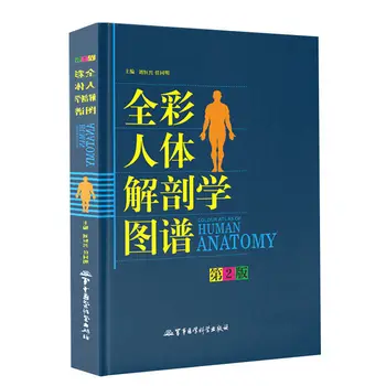 Človeške Anatomije Barvno Kitajščina angleščina Logotip Diagram Medicine Anatomija Shorthand Struture Knjiga 1Book
