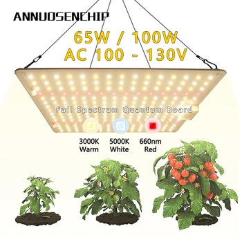 100W 65W LED Rastlin Raste Svetlobe AC 100-130V Celoten Spekter Quantum Lučka Plošče Za uporabo v Zaprtih prostorih Toplogrednih Sadja, Zelenjave, gojenje cvetja