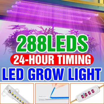 5V LED Phytolamp Celoten Spekter Rastejo Svetlobe USB Ffs Lučka Toplogrednih Sadika Rast Žarnice Za uporabo v Zaprtih prostorih Spraviti Krajine Rastejo Polje