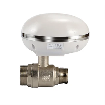 Smart Ventil za Vodo Krmilnik Smart Home Automation System Ventil za Vodo Detektor z izklopljen Varstvo