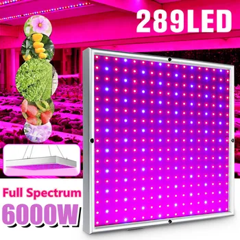 289LED 6000W LED Grow Light Celoten Spekter LED Rastlin Raste Svetlobe Zelenjave Bloom Lučka Zaprtih Rastlin Raste Svetlobe Toplogrednih AC100-240V